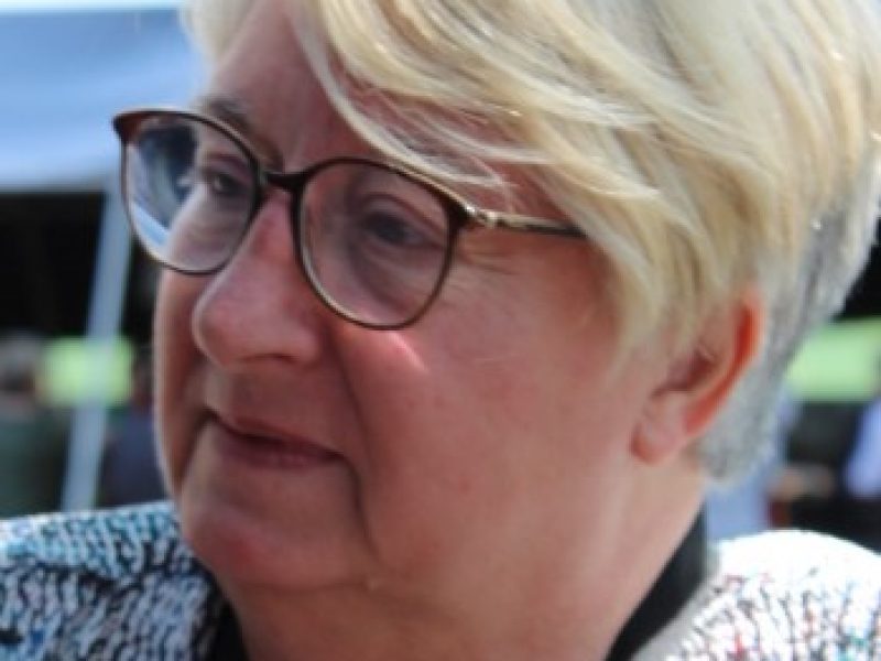Annie_Vaissière_2019 Annie_Vaissière_2019
