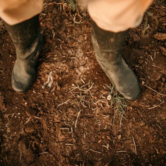 l’accompagnement des professionnels victimes des pesticides – Phyto-Victimes (1)