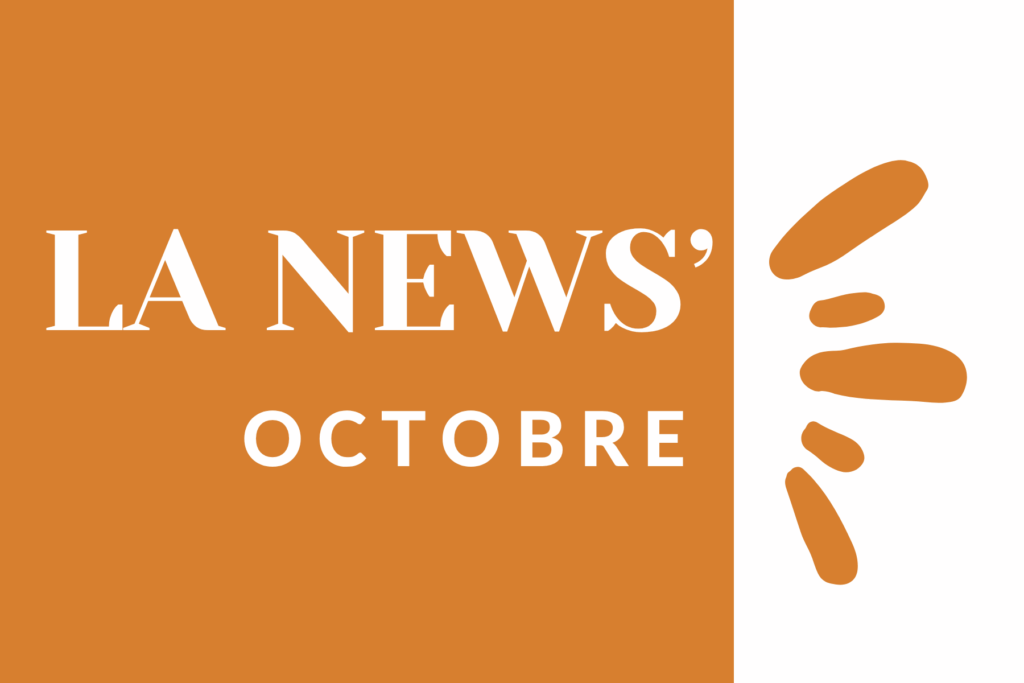 Newsletter octobre